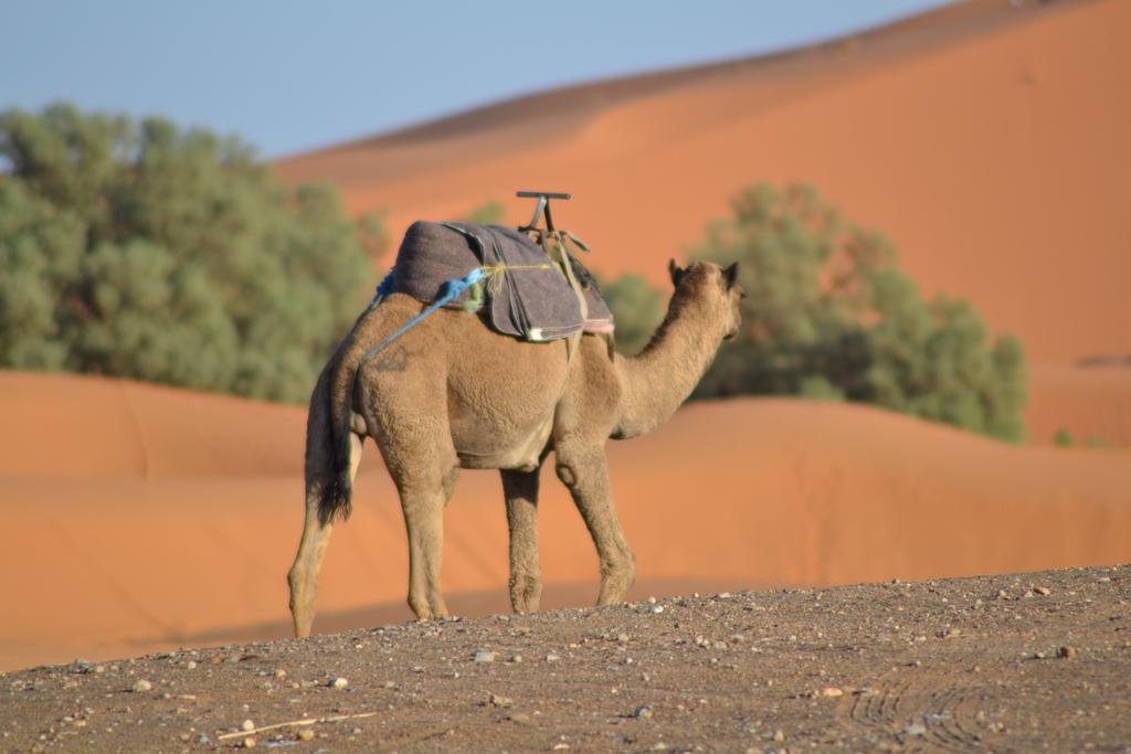 Luxury Maktoub Hotel Merzouga Luaran gambar